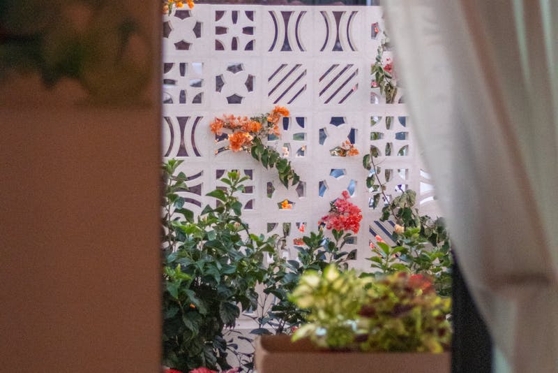 an open window with a curtain and a view of the outdoors