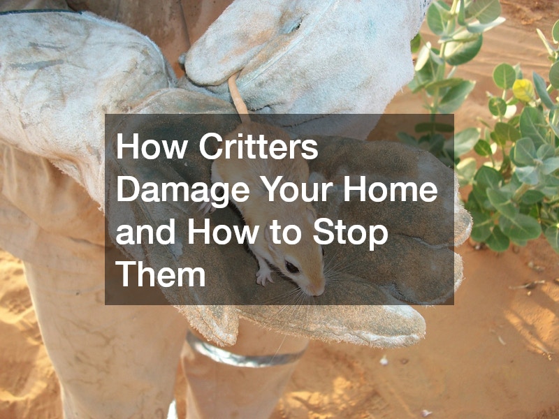How Critters Damage Your Home and How to Stop Them