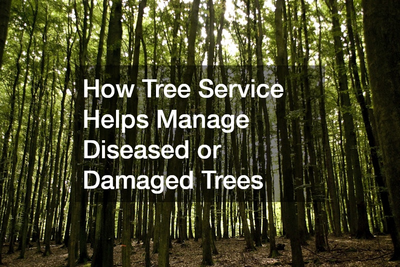 How Tree Service Helps Manage Diseased or Damaged Trees